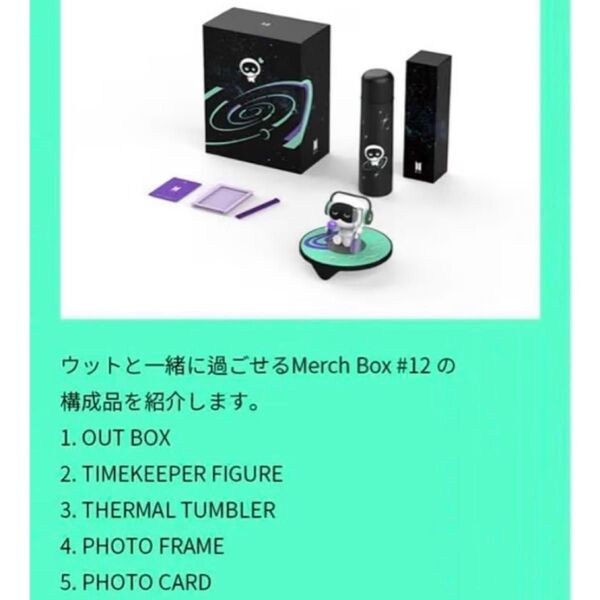 BTS Merch Box #12 JIN ジン ウット
