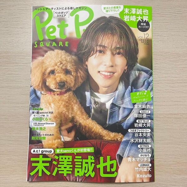 ペットポップスクエア vol.12 末澤誠也 新品未読
