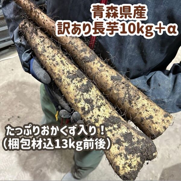 残り少※10kg +α(梱包材込13kg前後)青森県産 訳あり 長芋 規格外