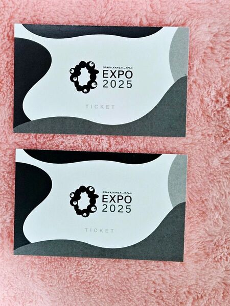大阪万博2025 1日券 ペアチケット