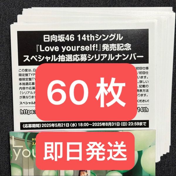 日向坂46 14thシングル Love yourself! スペシャル抽選応募シリアルナンバー 60枚