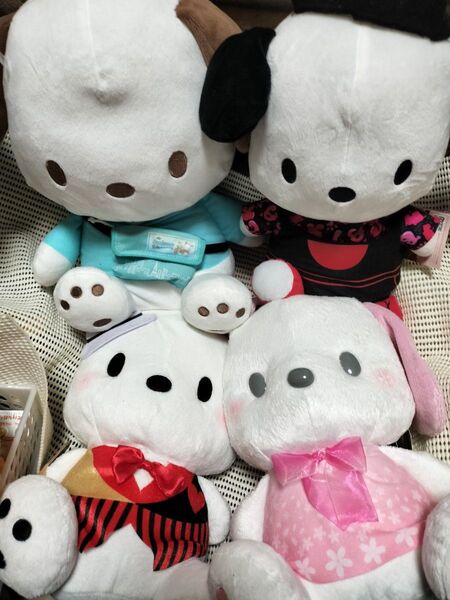ポチャッコ ぬいぐるみ 4体まとめ売り サンリオ