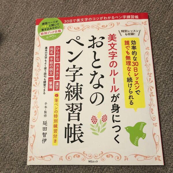 MSムック 美文字のルールが身につく おとなのペン字練習帳
