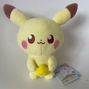 ポケピース ぬいぐるみ Starry Night ピカチュウ タグを切ってしまいましたが新品です