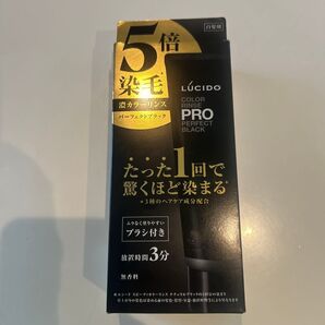 ルシード プロ パーフェクトブラック 濃カラーリンス 5倍