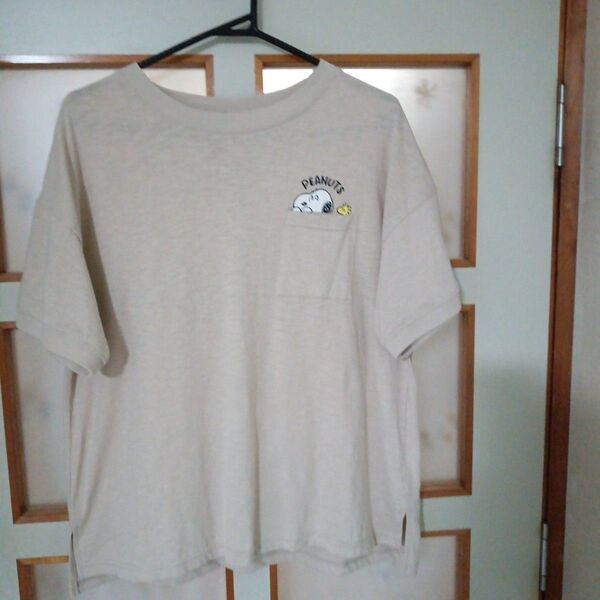 レディースTシャツ