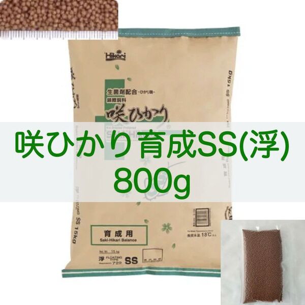 【送料無料】キョーリン 咲ひかり 育成 SSサイズ(浮) 800g 錦鯉・金魚・川魚