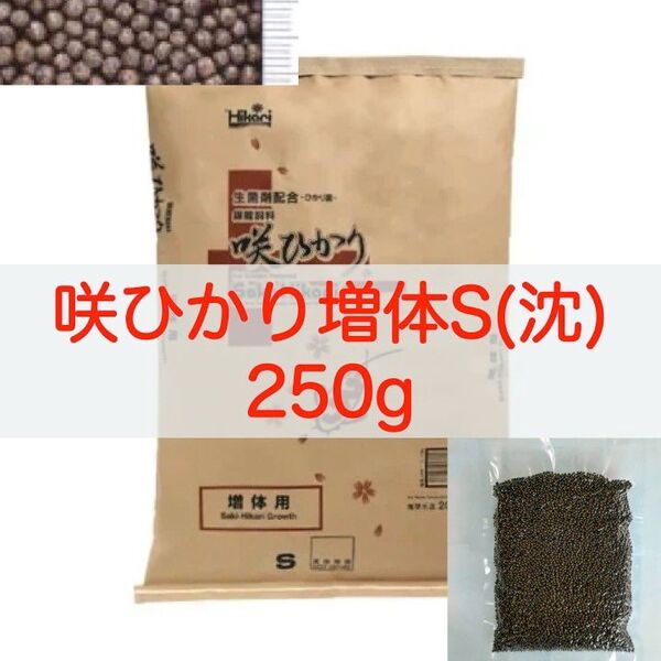 【送料無料】キョーリン 咲ひかり 増体 Sサイズ(沈下) 250g 錦鯉・金魚・川魚
