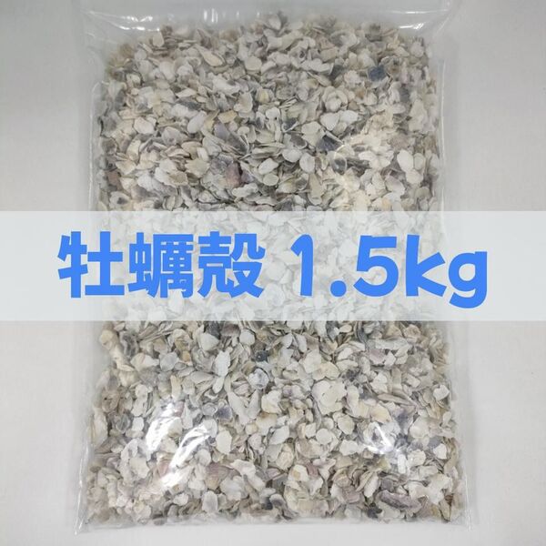 【送料無料】アクアリウム用 牡蠣殻チップ1.5kg pH改善 水質改善 カキ殻 かきがら ろ材