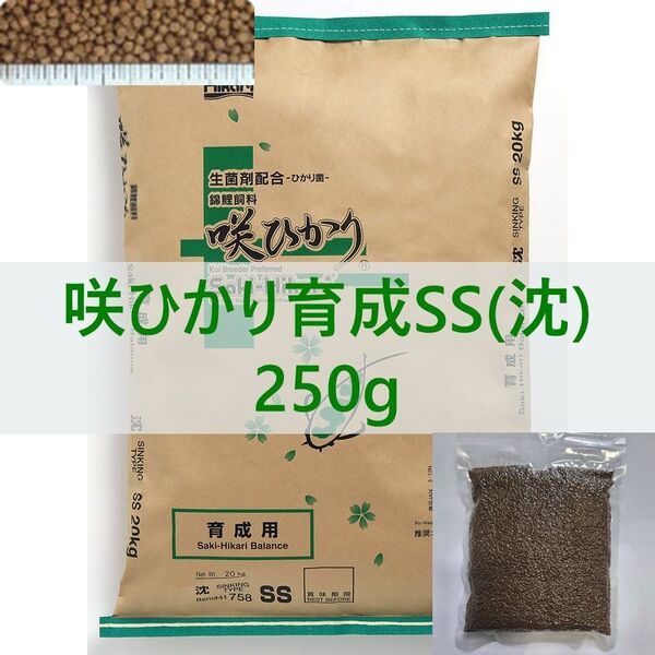 【送料無料】キョーリン 咲ひかり 育成 SSサイズ(沈下) 250g 錦鯉・金魚・川魚・育成用