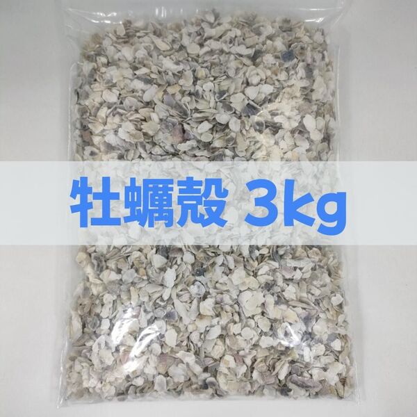 【送料無料】アクアリウム用 牡蠣殻チップ3kg pH改善 水質改善 カキ殻 かきがら ろ材