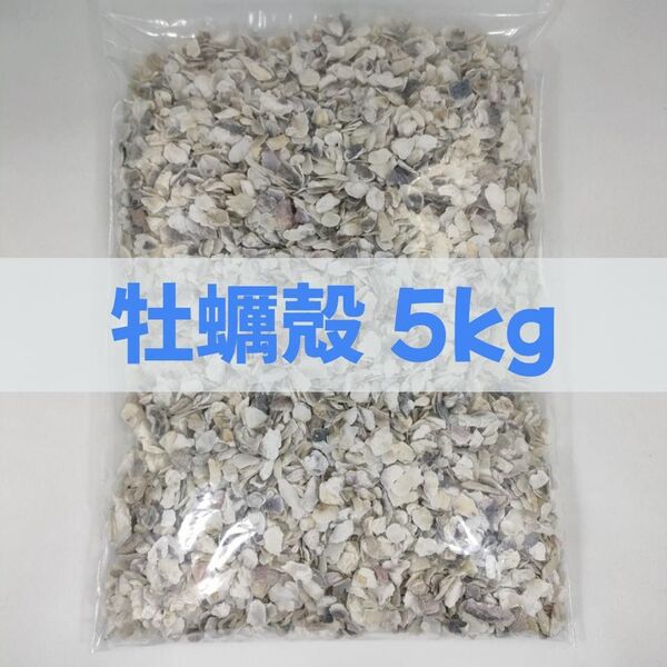 【送料無料】アクアリウム用 牡蠣殻チップ5kg pH改善 水質改善 カキ殻 かきがら ろ材