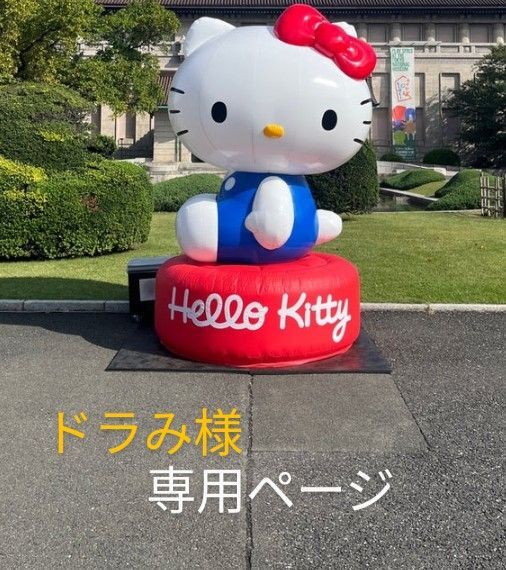 ゆうパケットポストmini 専用封筒 【70枚】 ヘアゴム