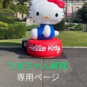 ゆうパケットポストmini 専用封筒 【100枚】 ヘアゴム一つ