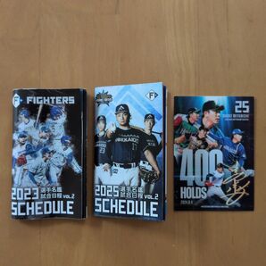 非売品FIGHTERS 2023.2025選手名鑑試合日程voL.2 携帯用 トレカセット