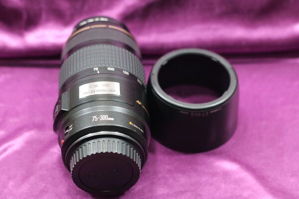 ≪美品≫ Canon EF 75-300mm F4-5.6 IS USM