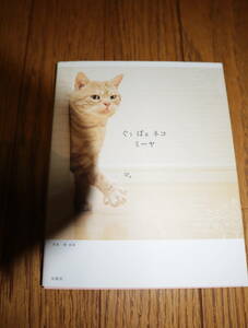 ** быстрое решение *.... кошка mi-ya* фотоальбом * стоимость доставки 198 иен ~**q