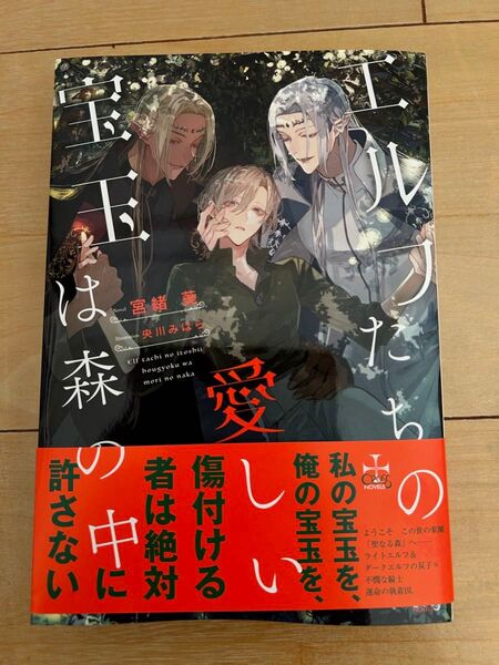 bl小説新刊 エルフたちの愛しい宝玉は森の中