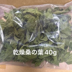 乾燥桑の葉40g ペットのおやつ 桑茶 岐阜県産 無農薬