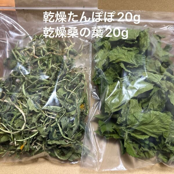 乾燥たんぽぽ20g 乾燥桑の葉20g ペットのおやつ 岐阜県産 無農薬