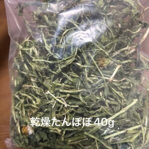 乾燥たんぽぽ40g 岐阜県産 無農薬 ペットのおやつ