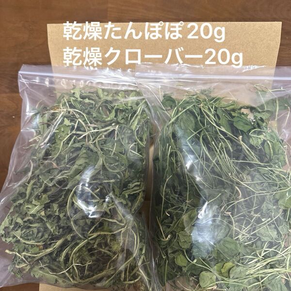 乾燥たんぽぽ20g 乾燥クローバー20g ペットのおやつ