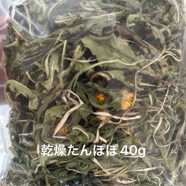 乾燥たんぽぽ40g ペットのおやつ 岐阜県産 無農薬
