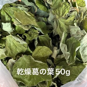 乾燥葛の葉50g S〜Mサイズ 岐阜県産 無農薬 ペットのおやつ