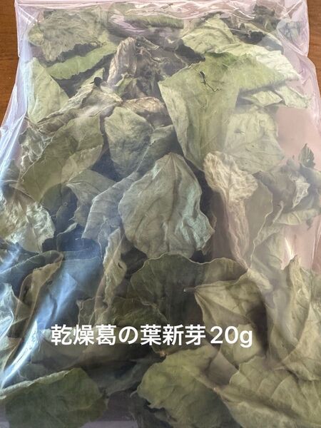乾燥葛の葉 新芽 20g 岐阜県産 無農薬 草食動物のおやつ
