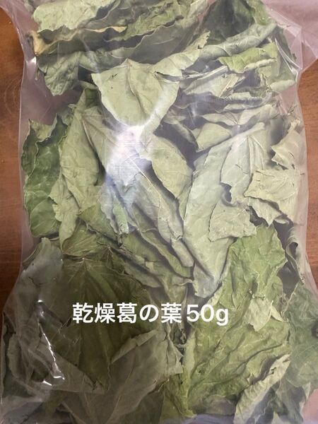 乾燥葛の葉 50g S〜Mサイズ 岐阜県産 無農薬 草食動物のおやつ