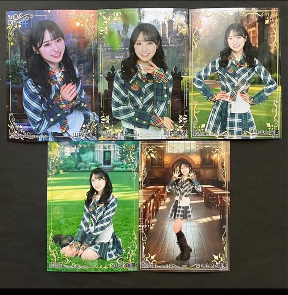 最新!山内瑞葵 AKB48 生写真 5枚コンプ