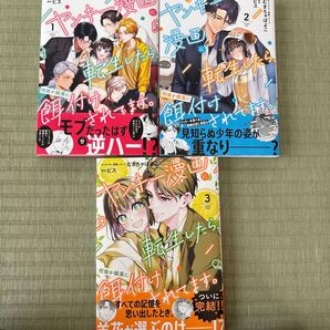 ヤンキー漫画に転生したら、何故か総長に餌付けされています。 1〜3巻セット