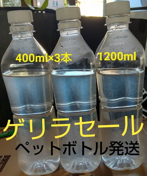 魚のエサ 1200ml。ペットボトル発送。ゾウリムシメダカ 金魚 めだか エサ ミジンコ グリーンウォーター PSB らんちゅう