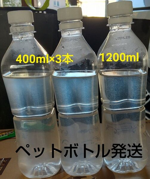 魚のエサ 1200ml。ペットボトル発送。ゾウリムシメダカ 金魚 めだか エサ ミジンコ グリーンウォーター PSB らんちゅう
