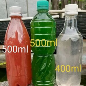 PSB(光合成細菌) 500ml&天然 グリーンウォーター(種水,青水) 500ml&魚の餌 400ml、 ゾウリムシ ミジンコ