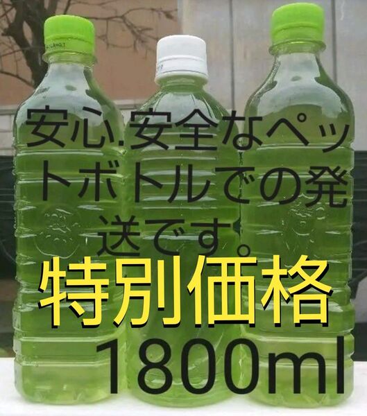 特別価格!天然 グリーンウォーター(青水、種水) 1800ml。めだか 金魚 メダカ ミジンコ ゾウリムシ 稚魚