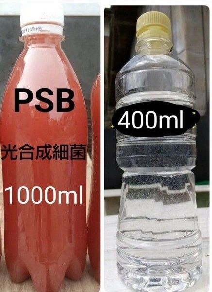 魚のエサ 400ml & PSB(光合成細菌) 1000ml。ゾウリムシ ペットボトル発送!メダカ 金魚 ミジンコ