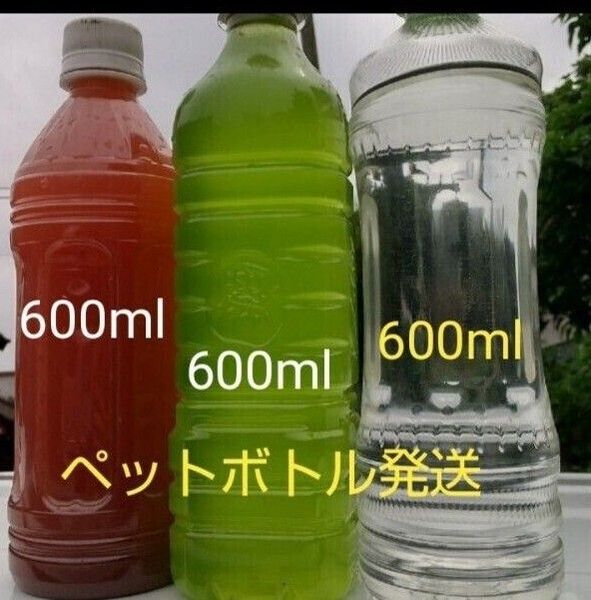 PSB(光合成細菌) 600ml&天然 グリーンウォーター(種水,青水) 600ml&魚の餌 600ml、 ゾウリムシ ミジンコ