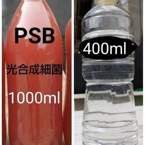 PSB(光合成細菌) 1000ml & 魚のエサ 400ml。ゾウリムシ ペットボトル発送!メダカ 金魚 ミジンコ