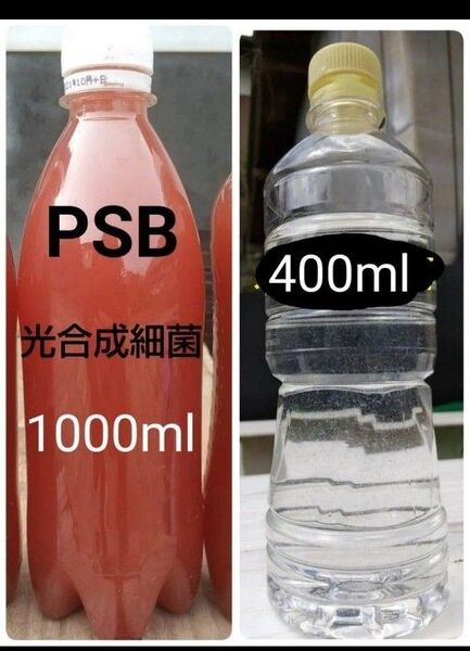 魚のエサ 400ml & PSB(光合成細菌) 1000ml。ゾウリムシ ペットボトル発送!メダカ 金魚 ミジンコ
