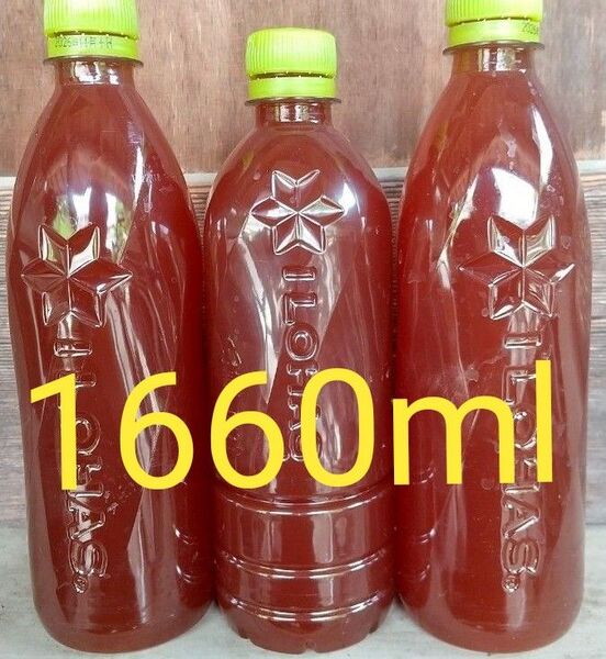 自家培養PSB(光合成細菌)560ml×2本と540ml×1本の1660ml。メダカ 金魚 ゾウリムシ ミジンコ めだか