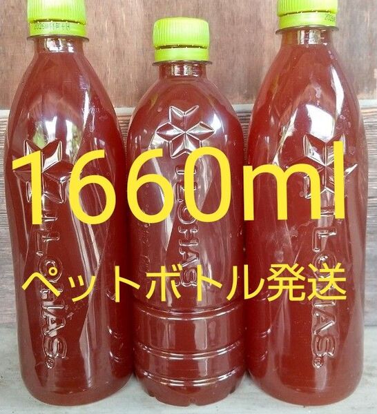 自家培養PSB(光合成細菌)560ml×2本と540ml×1本の1660ml。メダカ 金魚 ゾウリムシ ミジンコ