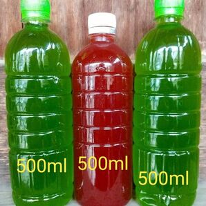 天然 グリーンウォーター(青水.種水)1000ml& PSB(光合成細菌)500ml 。。メダカ 金魚 ミジンコ ゾウリム