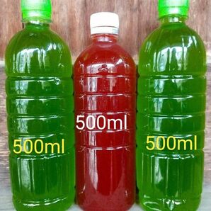 天然 グリーンウォーター(青水.種水)1000ml& PSB(光合成細菌)500ml メダカ ゾウリムシ ミジンコ