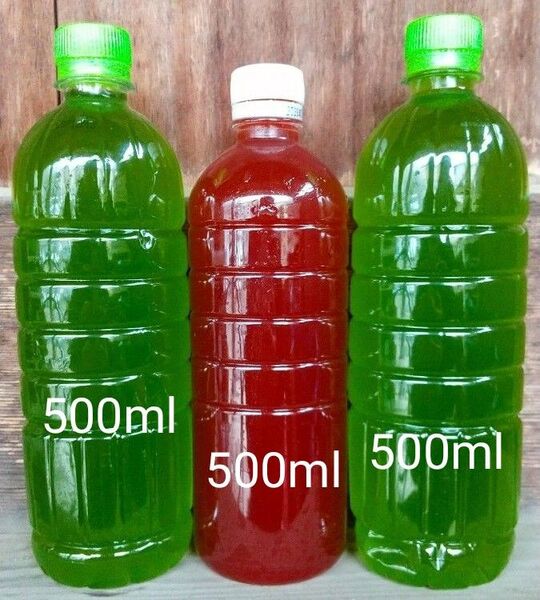 天然 グリーンウォーター(青水.種水)1000ml& PSB(光合成細菌)500ml 。。メダカ 金魚 ミジンコ ゾウリム