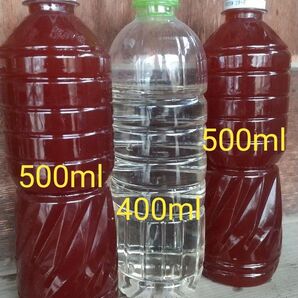 魚のエサ 400ml & PSB(光合成細菌) 1000ml。ゾウリムシ ペットボトル発送!メダカ 金魚 ミジンコ 針子