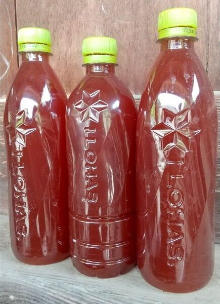 自家培養PSB(光合成細菌)560ml×2本と540ml×1本の1660ml。メダカ 金魚 ゾウリムシ ミジンコ