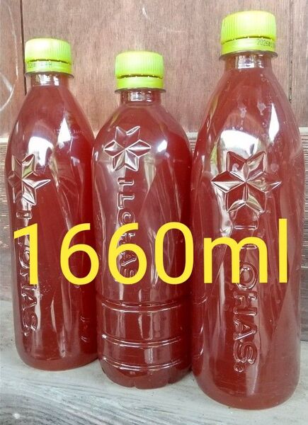 自家培養PSB(光合成細菌)560ml×2本と540ml×1本の1660ml。メダカ 金魚 ゾウリムシ ミジンコ