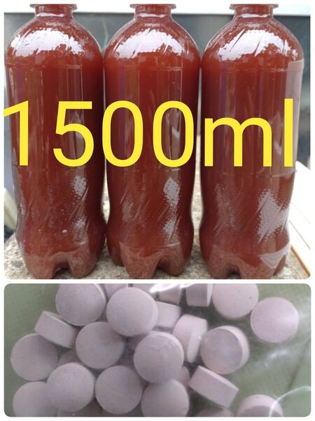 PSB(光合成細菌)1500ml & エビオス30錠 の出品です。バクテリア メダカ らんちゅう金魚 熱帯魚 ゾウリムシ めだか