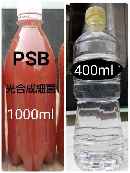 魚のエサ 400ml & PSB(光合成細菌) 1000ml。ゾウリムシ ペットボトル発送!メダカ 金魚 ミジンコ